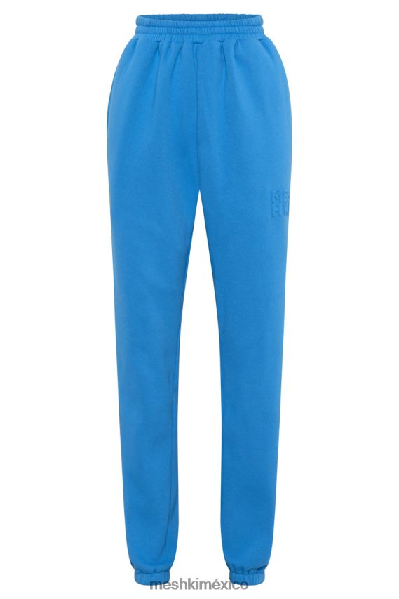Meshki joggers con espalda polar y relieve Emery azul ropa H48F8H1604